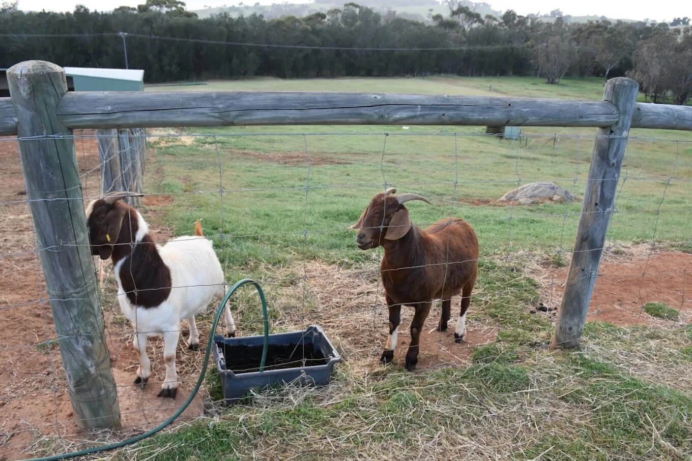 WA University Student Winter Conference Power to Change 2026